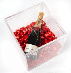 CHAMPAGNE COOLER